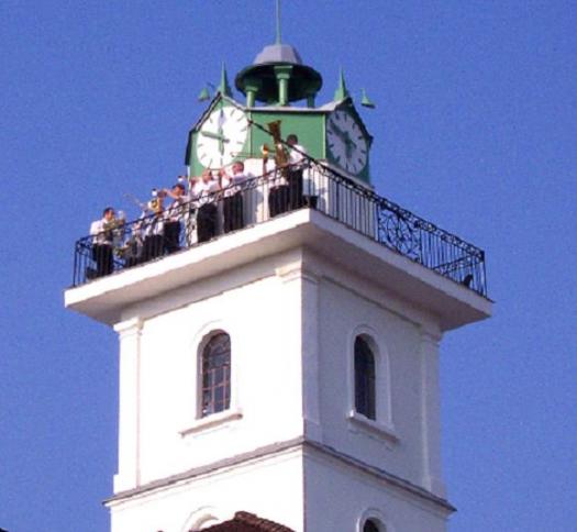 Toronyzene Toronyzene
